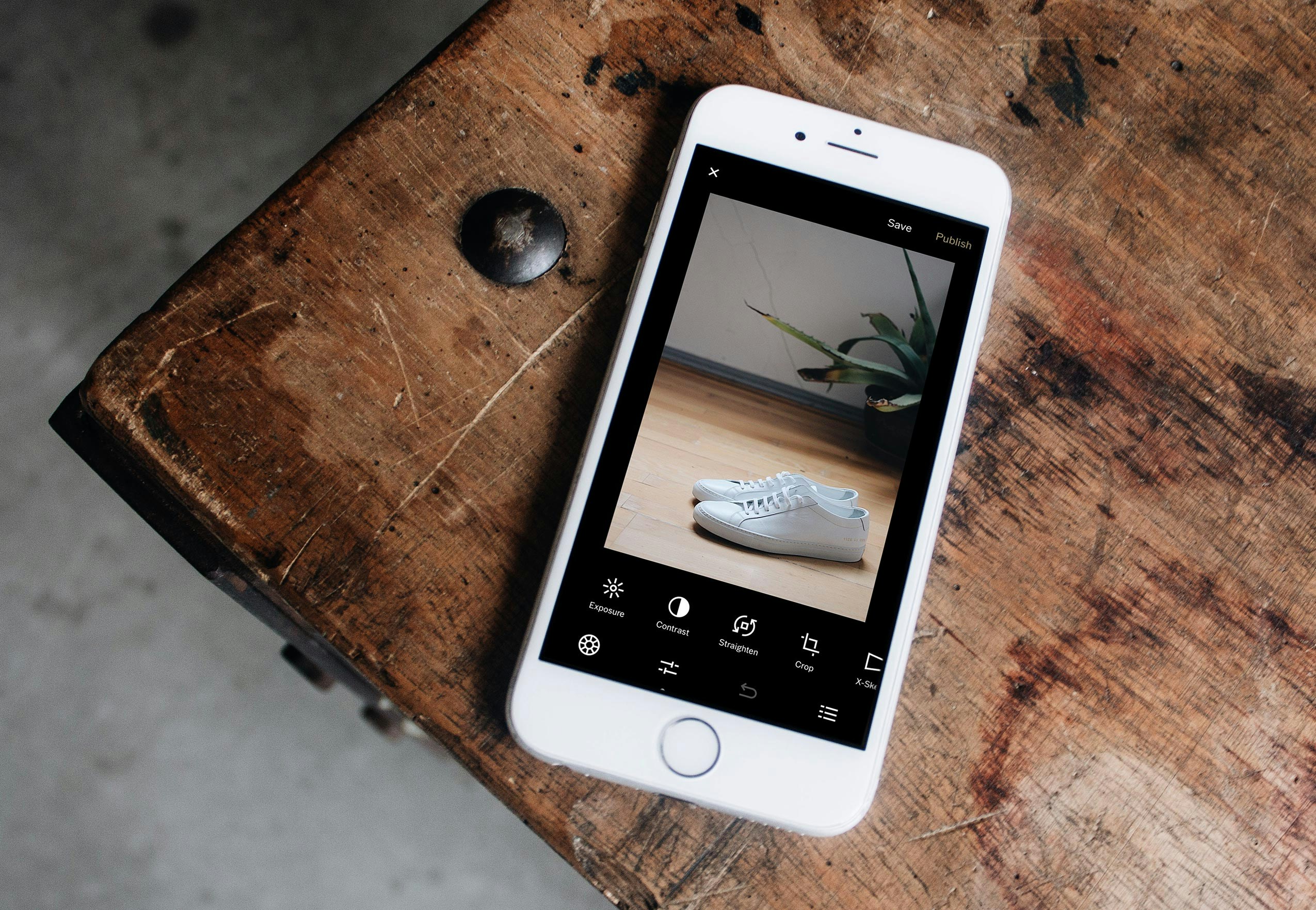 Visual Search