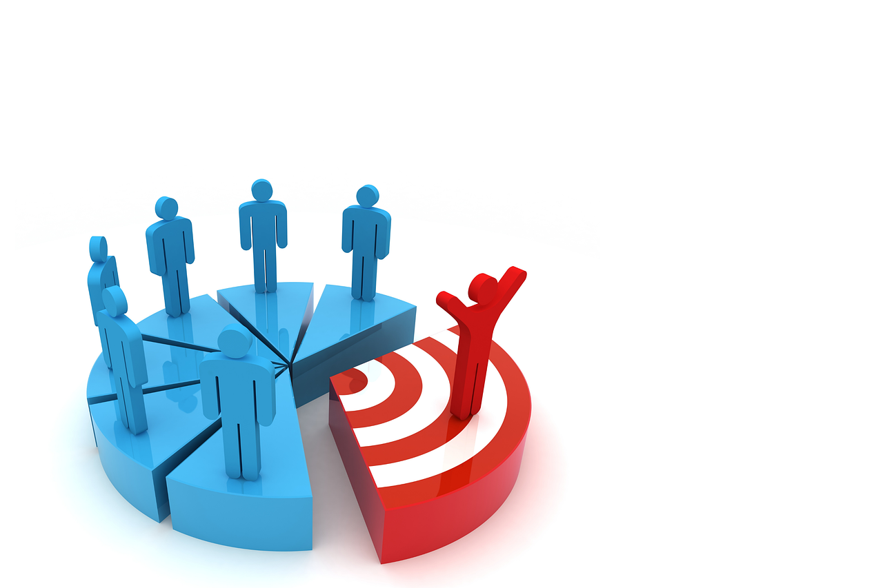 Audience Segmentation